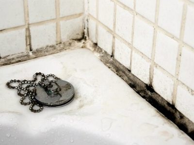 Black mold growing where tile and a bath tub meet.